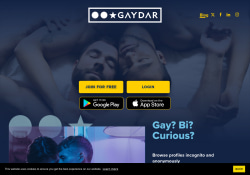 Gaydar